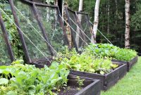 A Year in the Cold Frame Garden