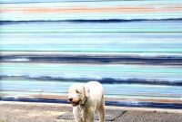 Coastal Canvas Garage Makeover
