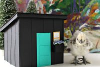 The Truth About Backyard Chickens: Effort vs. Reward