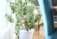Easy DIY Wooden Rolling Plant Cart