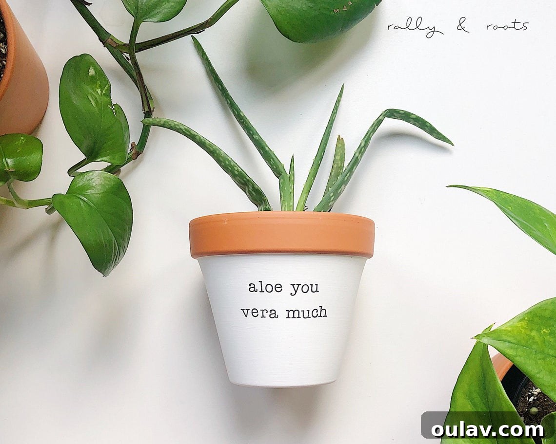 Modern Love Decor: A Red-Free Valentine's Palette 4 Cute Planter Valentine's Gift Idea