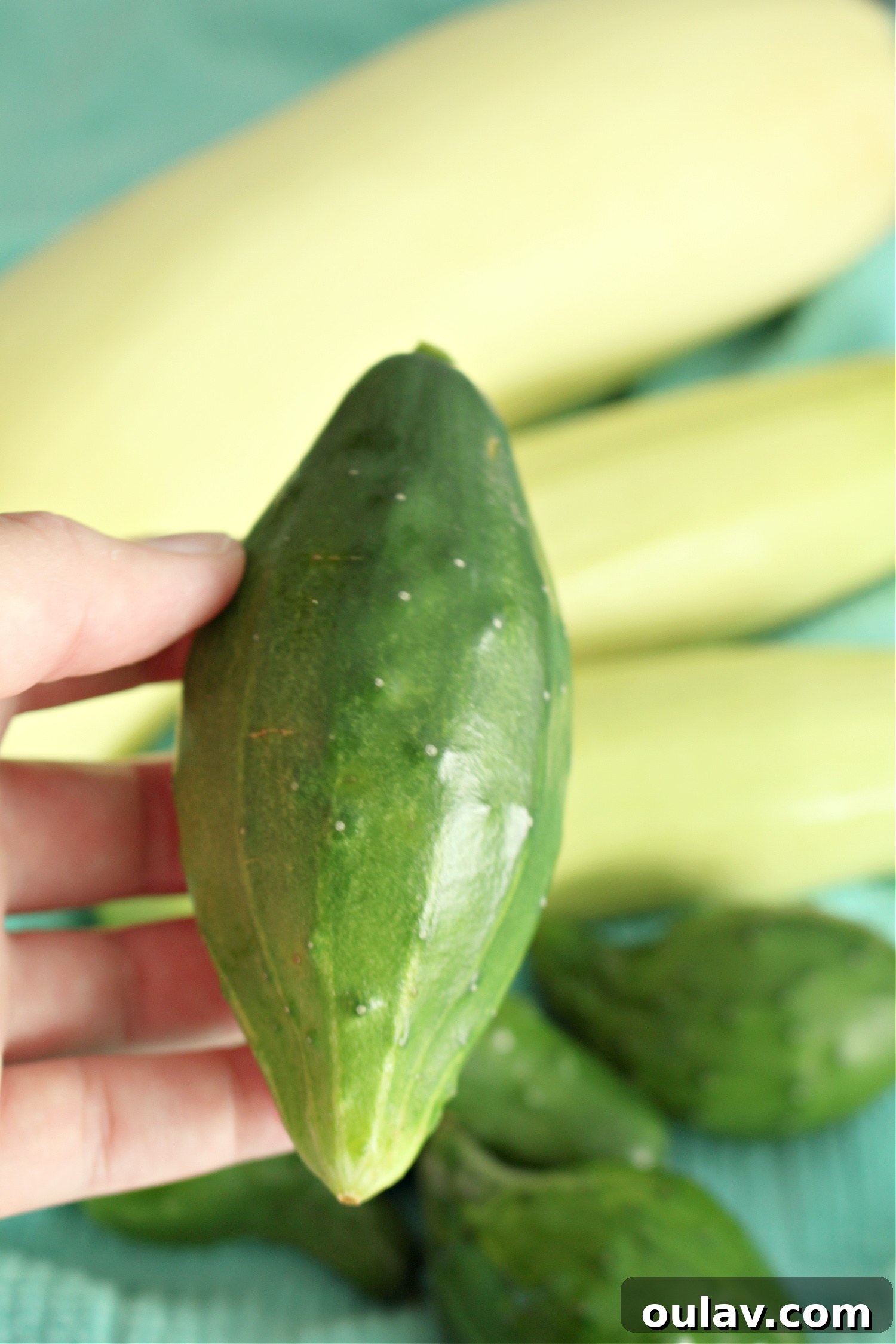A Year in the Cold Frame Garden 16 Cucumbers Grew Weird and Short and Fat: Cold Frame Crop Challenges