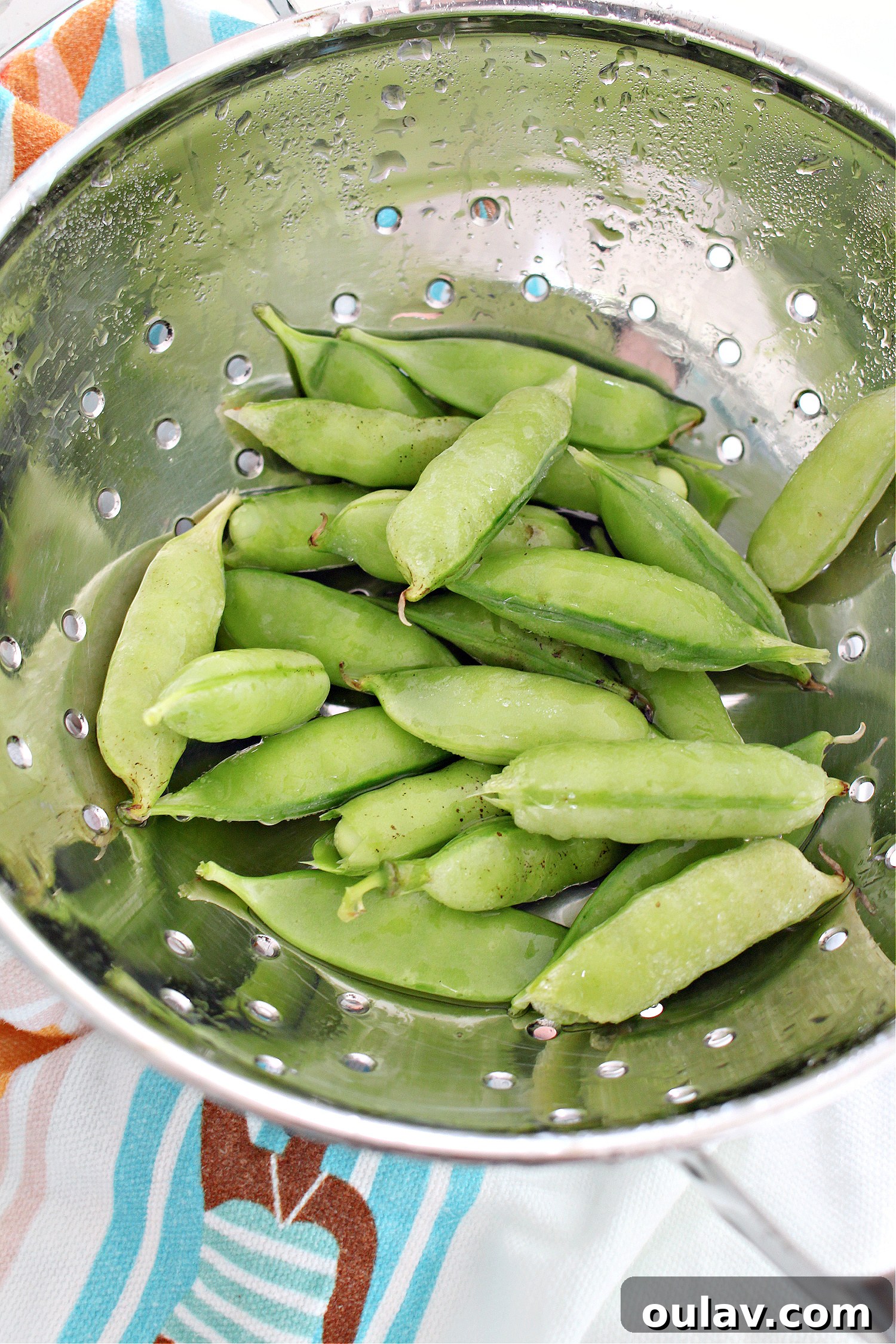 A Year in the Cold Frame Garden 18 Small Vegetable Gardening Tips: Learning from Mixed Results