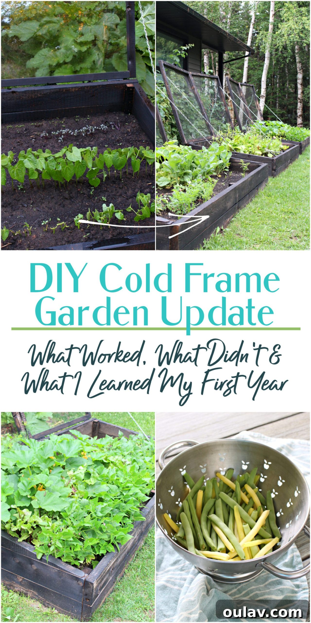 A Year in the Cold Frame Garden 23 DIY Cold Frame Garden Update: What Worked, What Didn't & What I Learned for Successful Gardening
