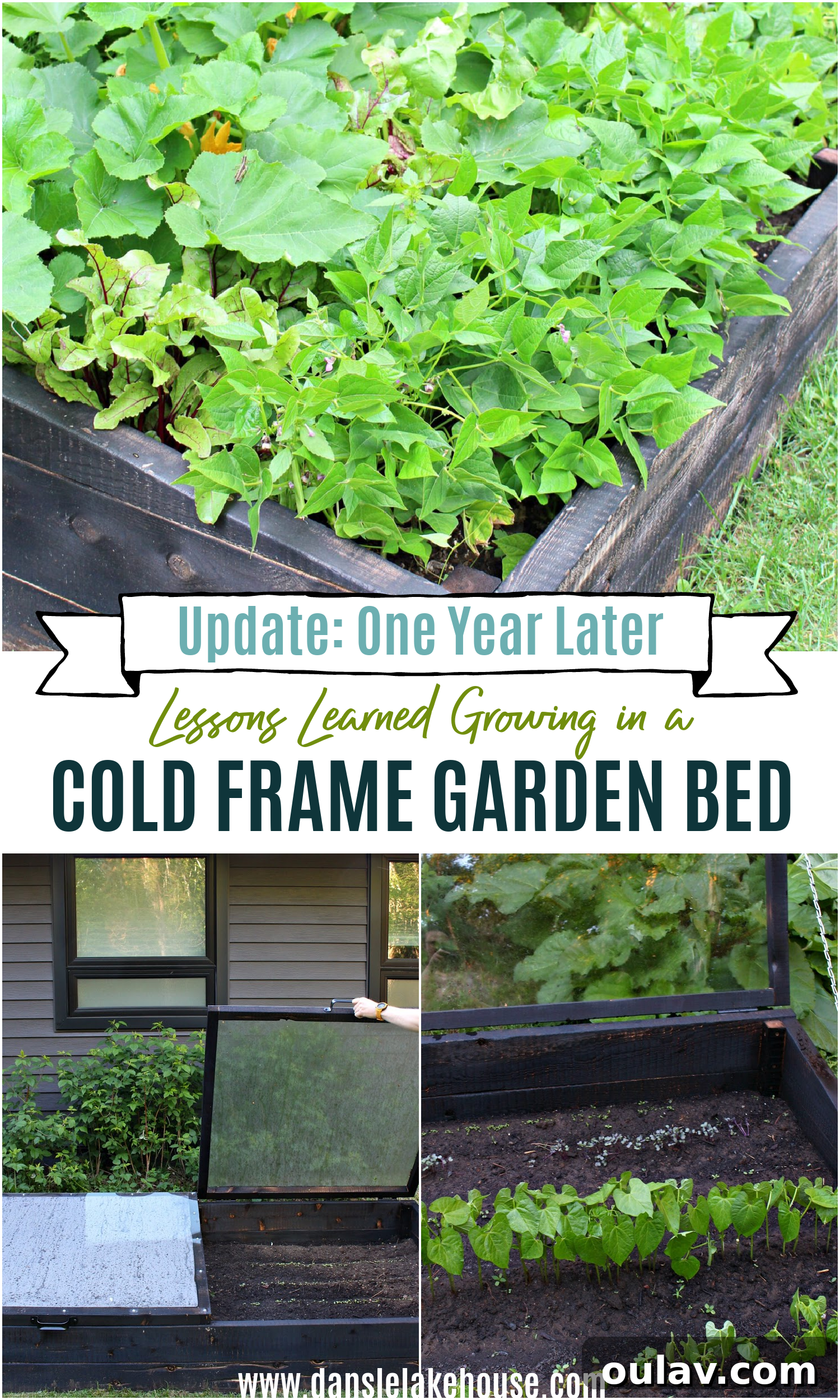 A Year in the Cold Frame Garden 24 Lessons Learned Growing in a Cold Frame Garden Bed: Beginner Tips and Strategies