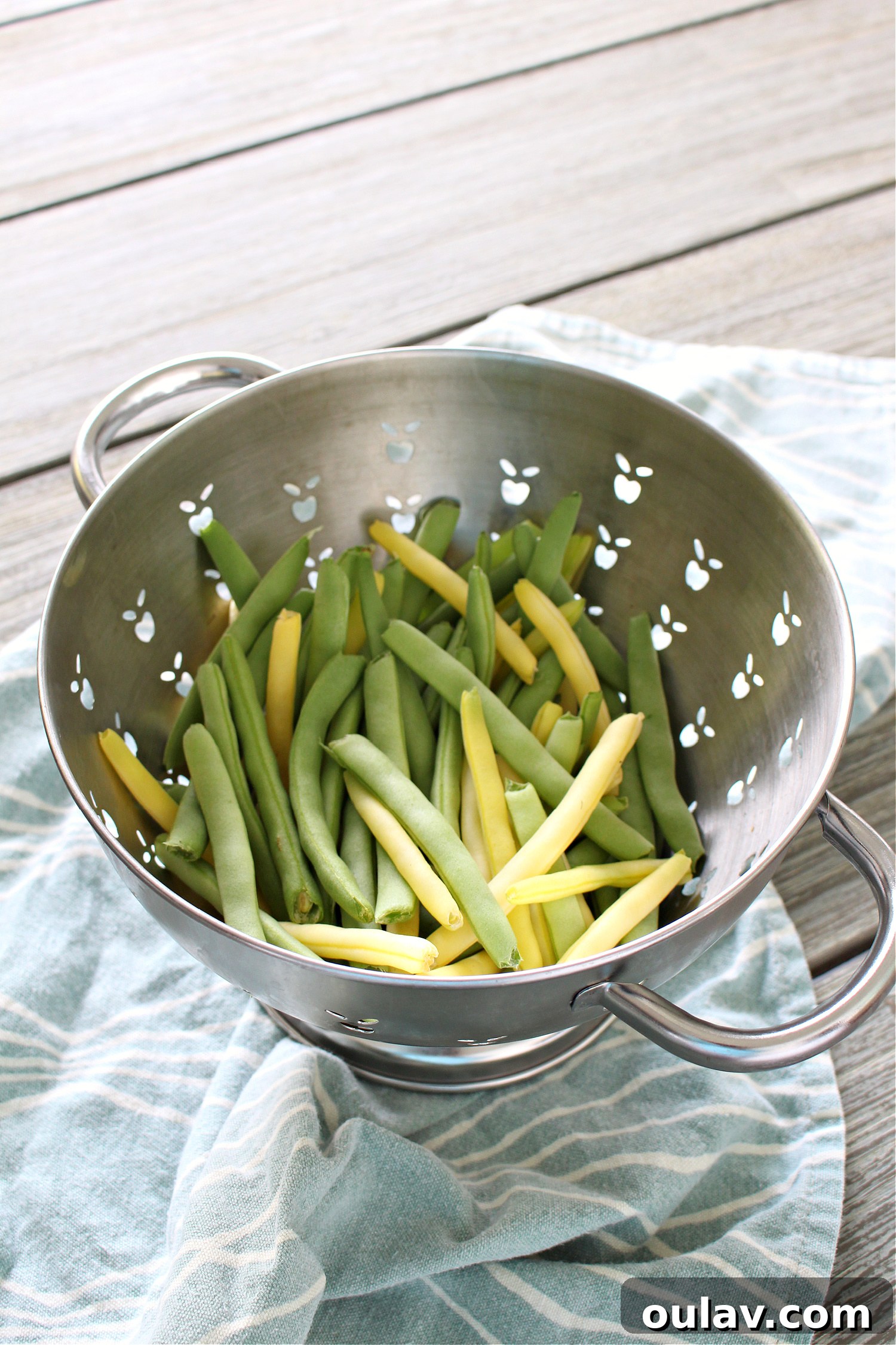 A Year in the Cold Frame Garden 8 Cold Frame Garden Bed Results Year One: A Learning Experience
