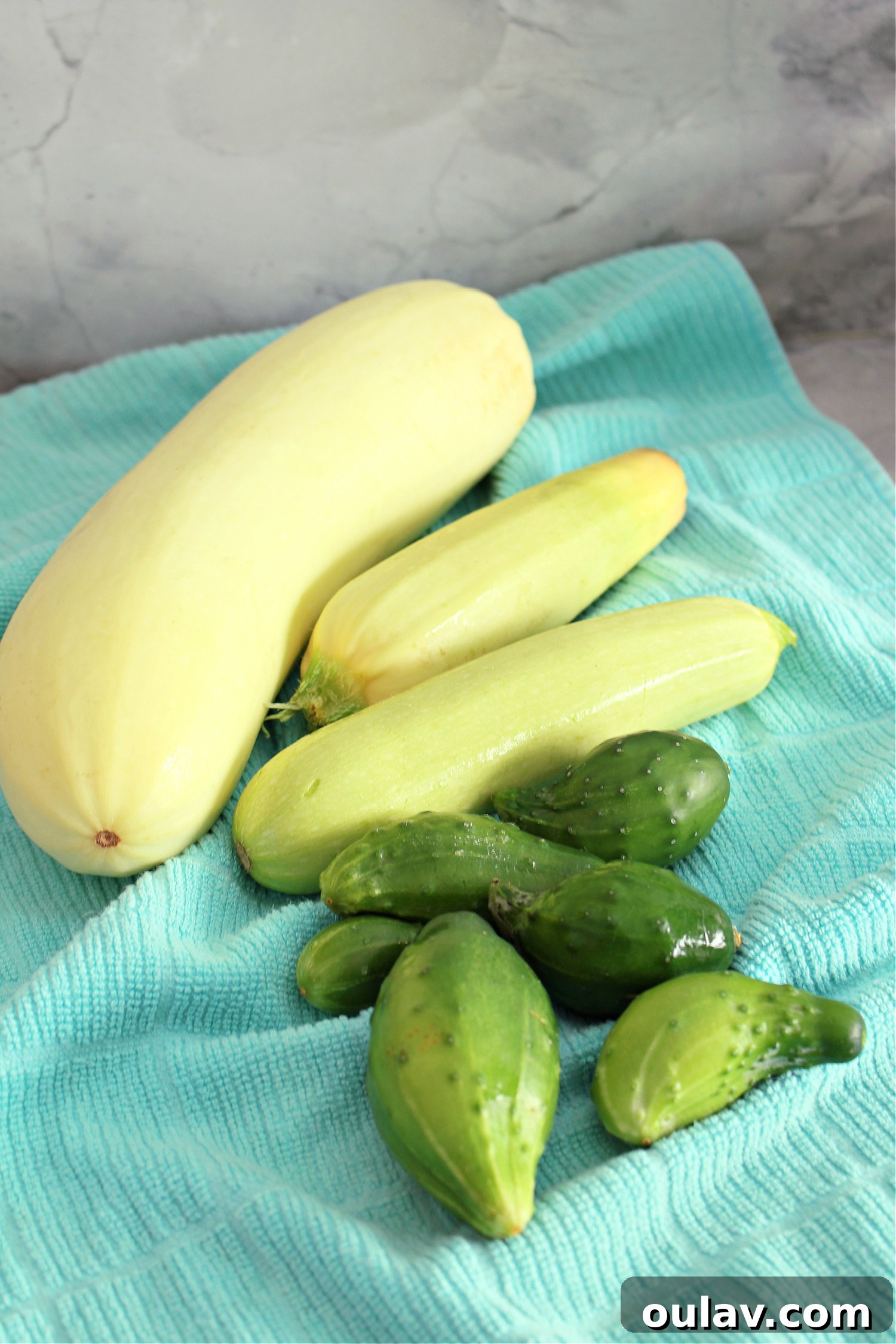 A Year in the Cold Frame Garden 9 Cold Frame Gardening for Beginners: Successful Crops