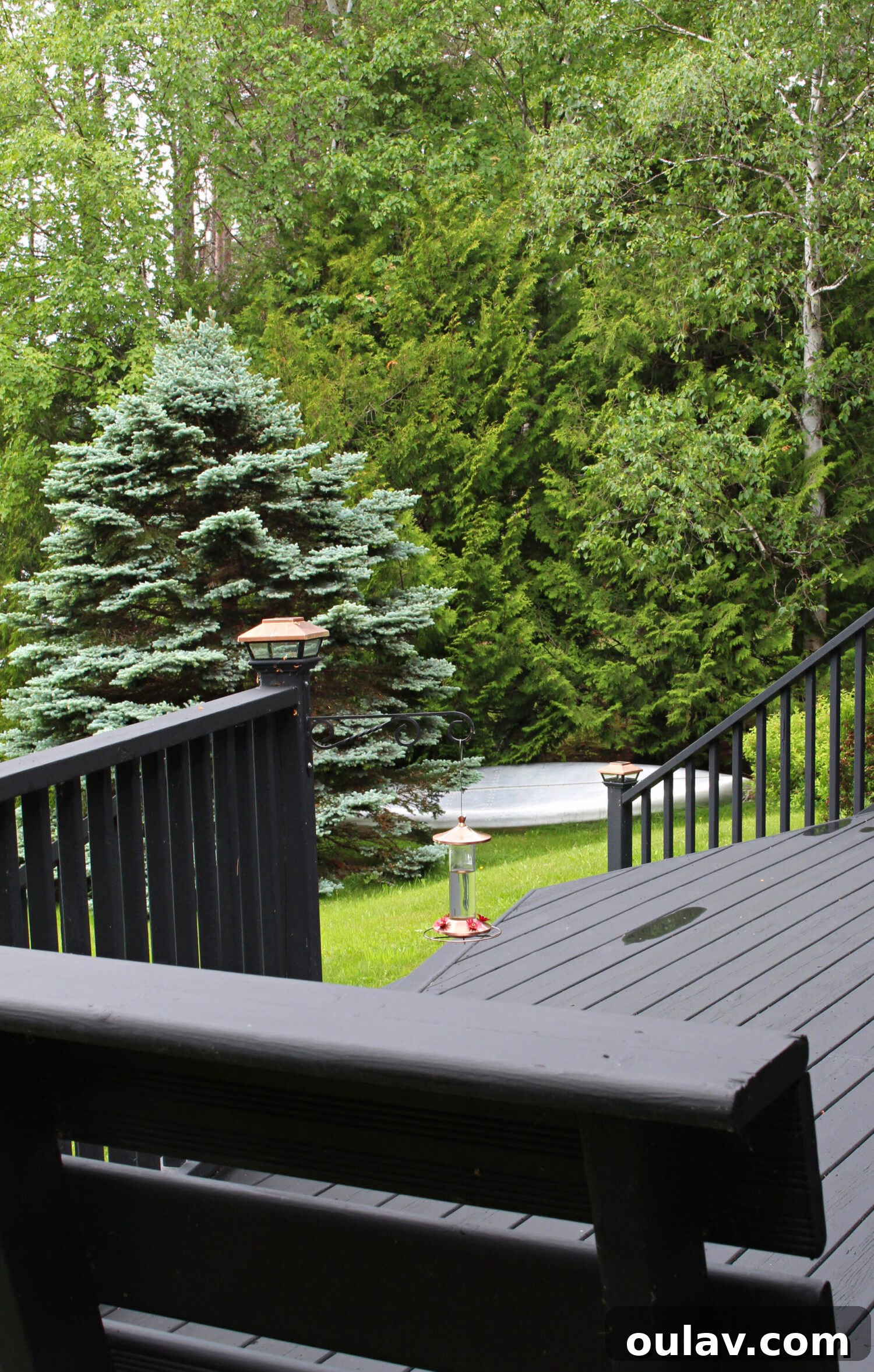 Unveiling Our Lake House Outdoors 15 Elegant Copper Hummingbird Feeder Matching Lake House Exterior