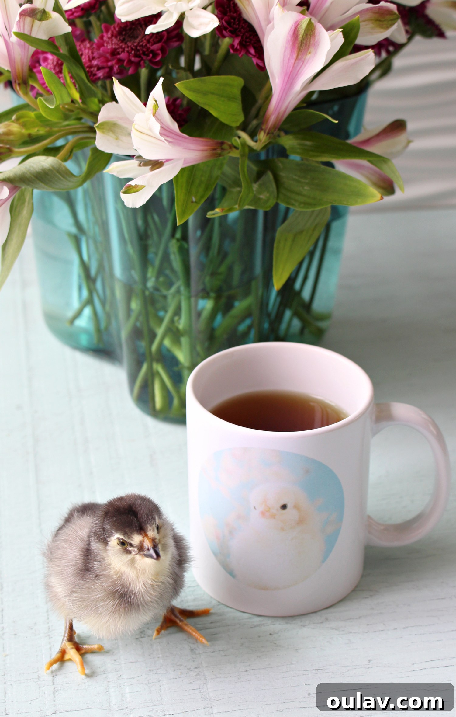 Mug with a chick printed on it, held by a person