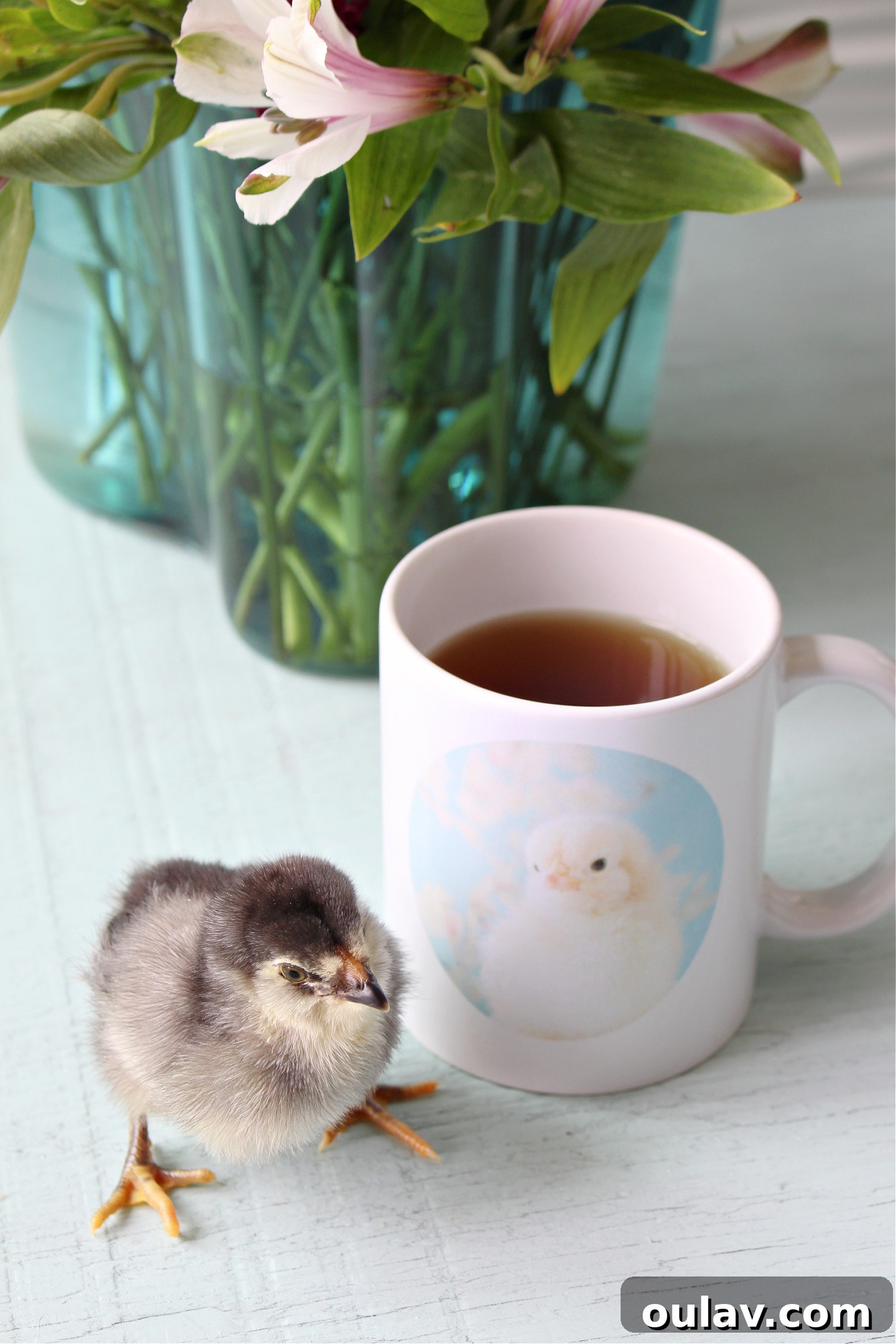 Hatching Artistic Beauty: My Chick Photos, Transformed by BestCanvas 20 Detailed shot of the baby chick mug design, highlighting custom options