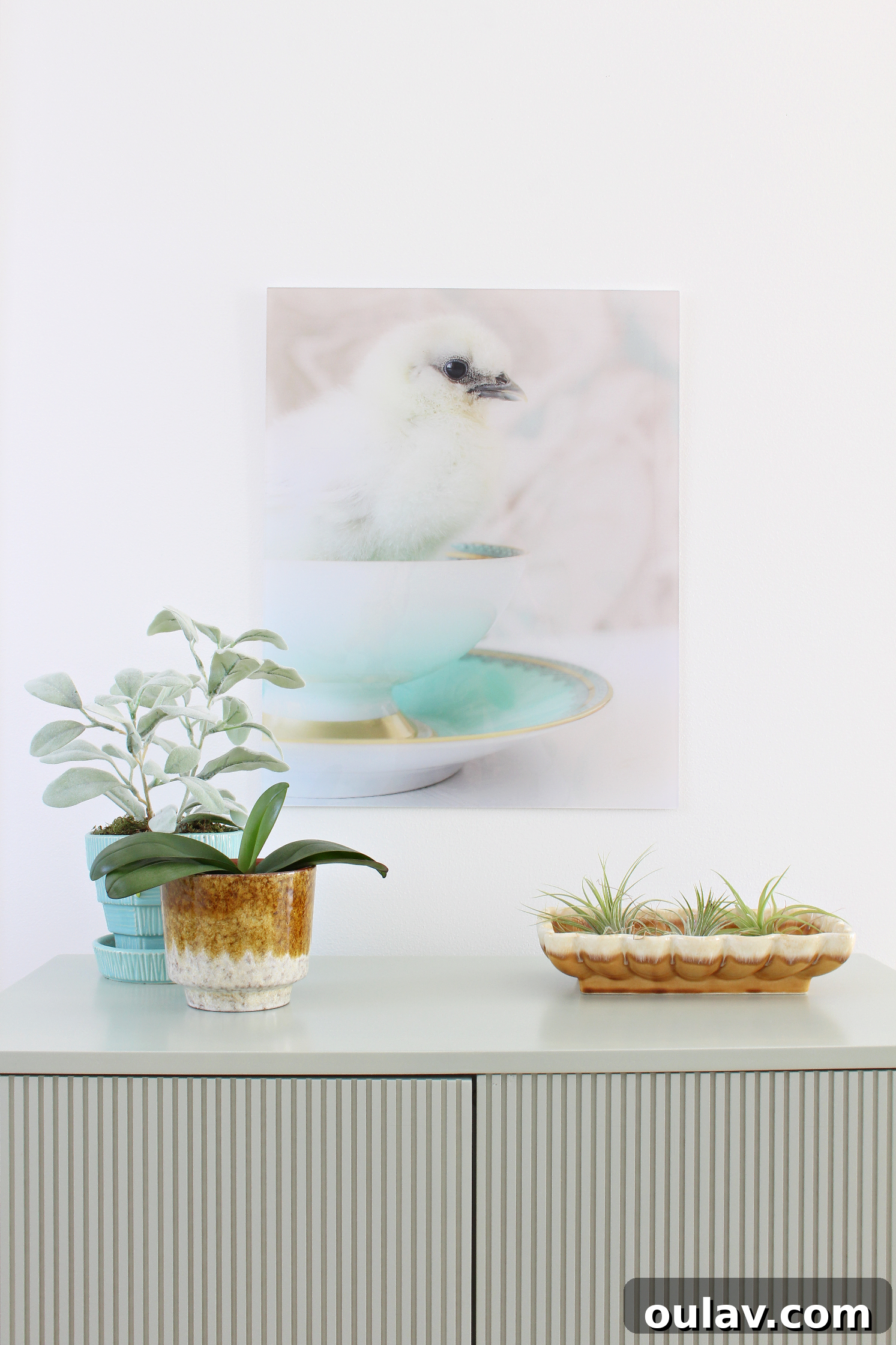 Hatching Artistic Beauty: My Chick Photos, Transformed by BestCanvas 21 BestCanvas.ca coupon code DANSLELAKEHOUSE for 20% off