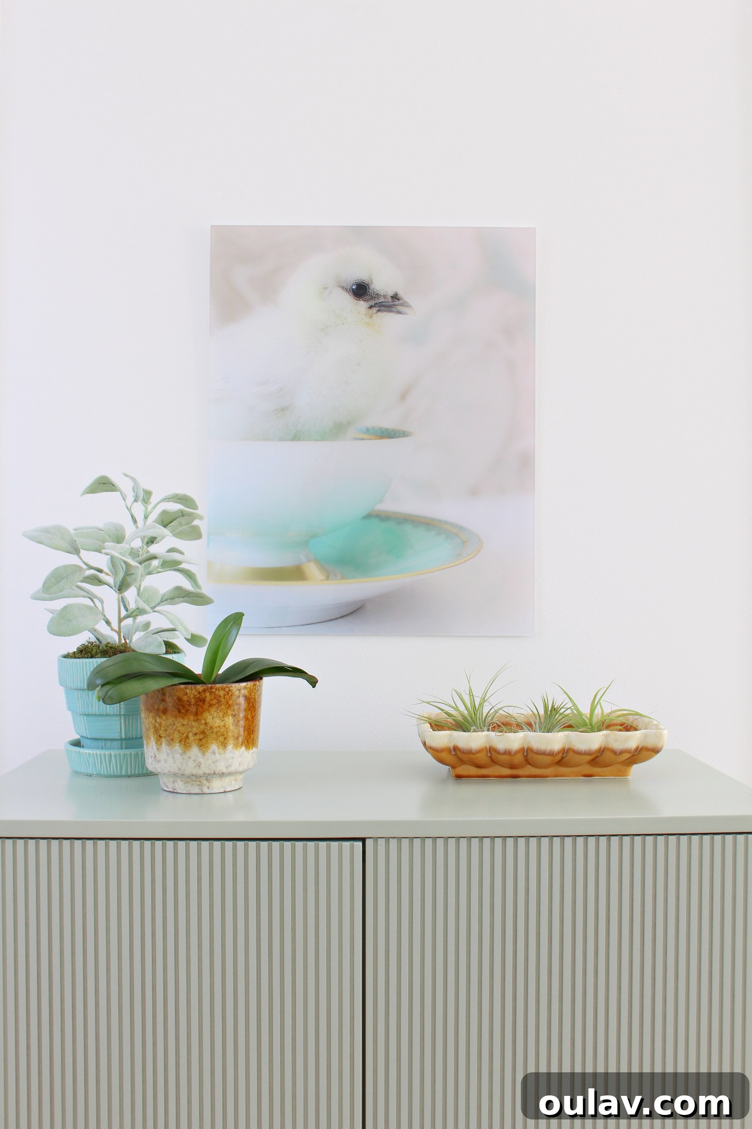 Additional photo of various custom photo products from BestCanvas.ca