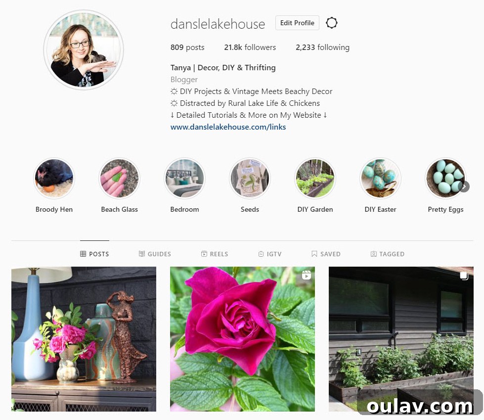 Life Under Her Wings: A Broody Hen's Hatch 5 Dans le Lakehouse Instagram