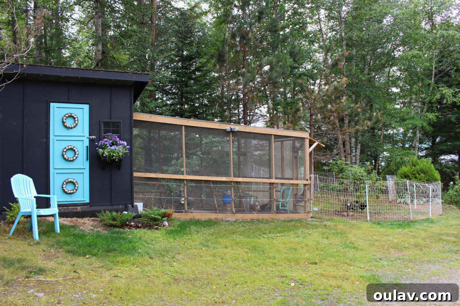 Protecting Your Free-Range Flock 21 Modern DIY Chicken Coop and Run
