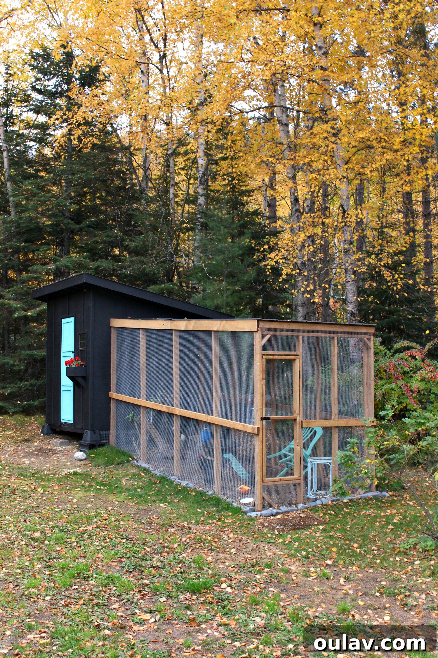 Protecting Your Free-Range Flock 4 Modern DIY Chicken Coop and Run