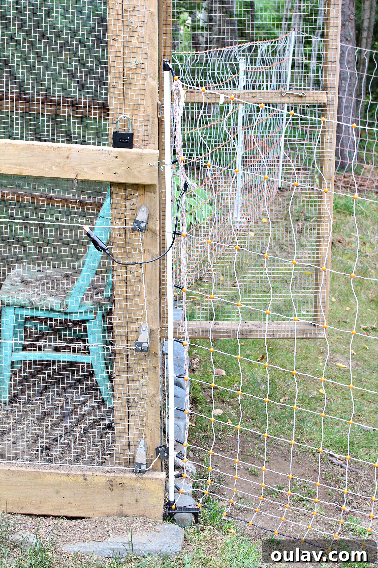 Protecting Your Free-Range Flock 10 Electric Fencing on Chicken Run