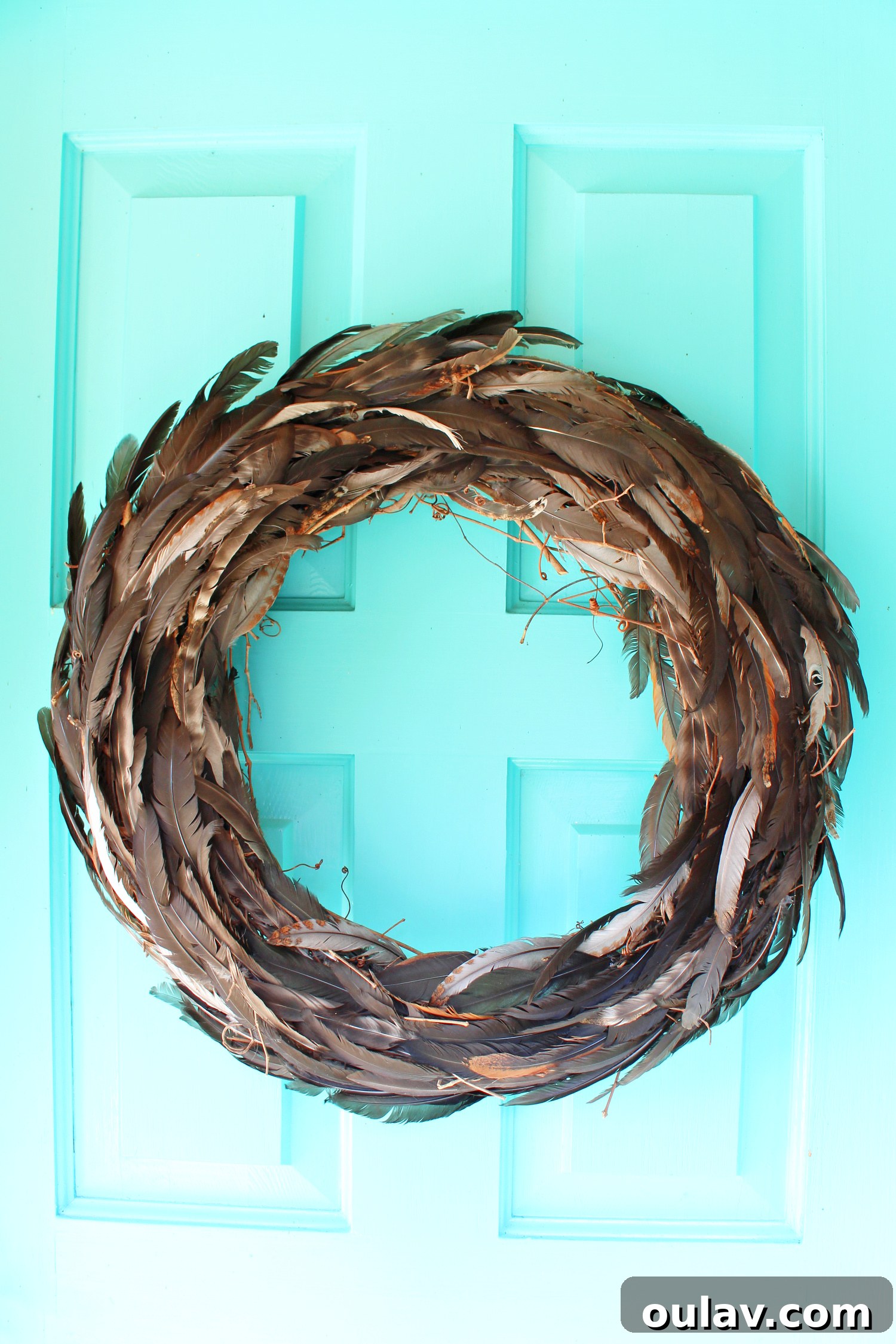 DIY Feather Wreath from Chicken Molt
