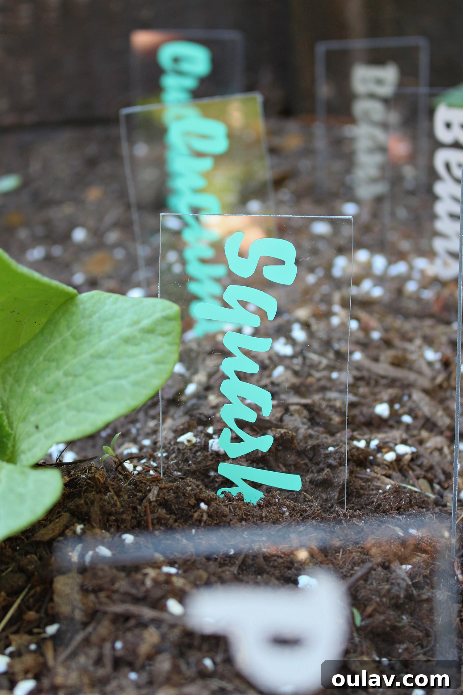 Waterproof Garden Markers DIY Cricut Project