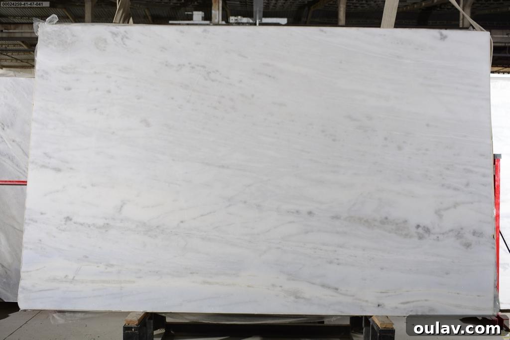 My Quest for Stone Kitchen Counters 8 Blurry photograph of a potential quartzite slab, lacking detail
