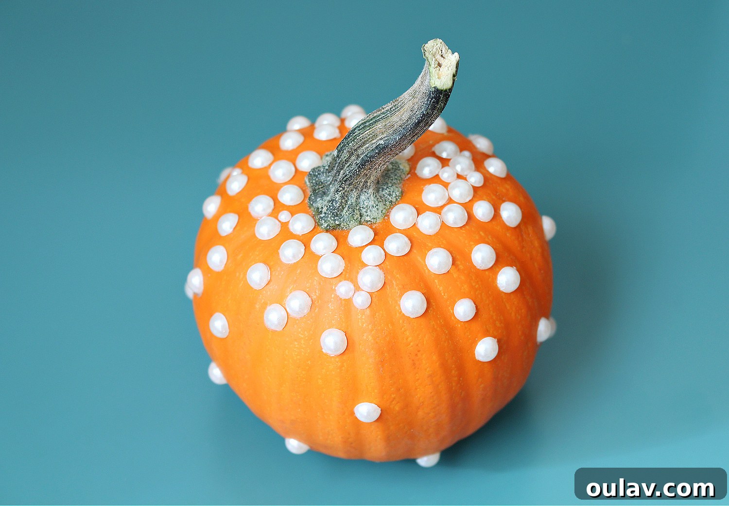 Effortless No-Carve Pumpkin Transformations 5 Elegant pearl pumpkin on a rustic surface