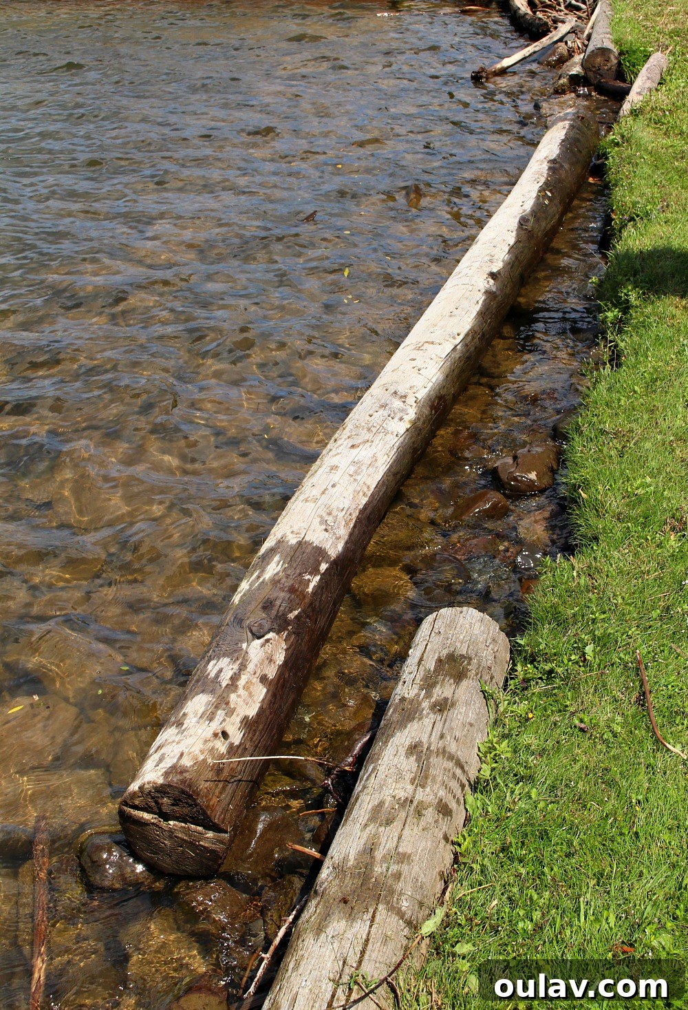 Eroding Shore Line