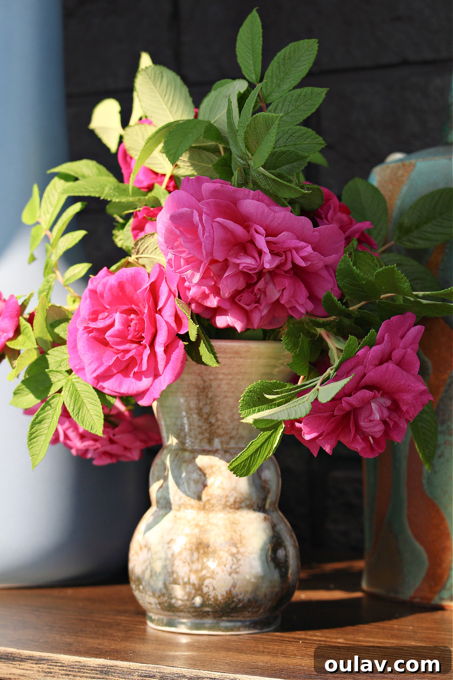 Radiant Roses: DIY Simmered Facial Mist 9 A hand holding a spray bottle of rose water, spritzing it over fresh rose petals.