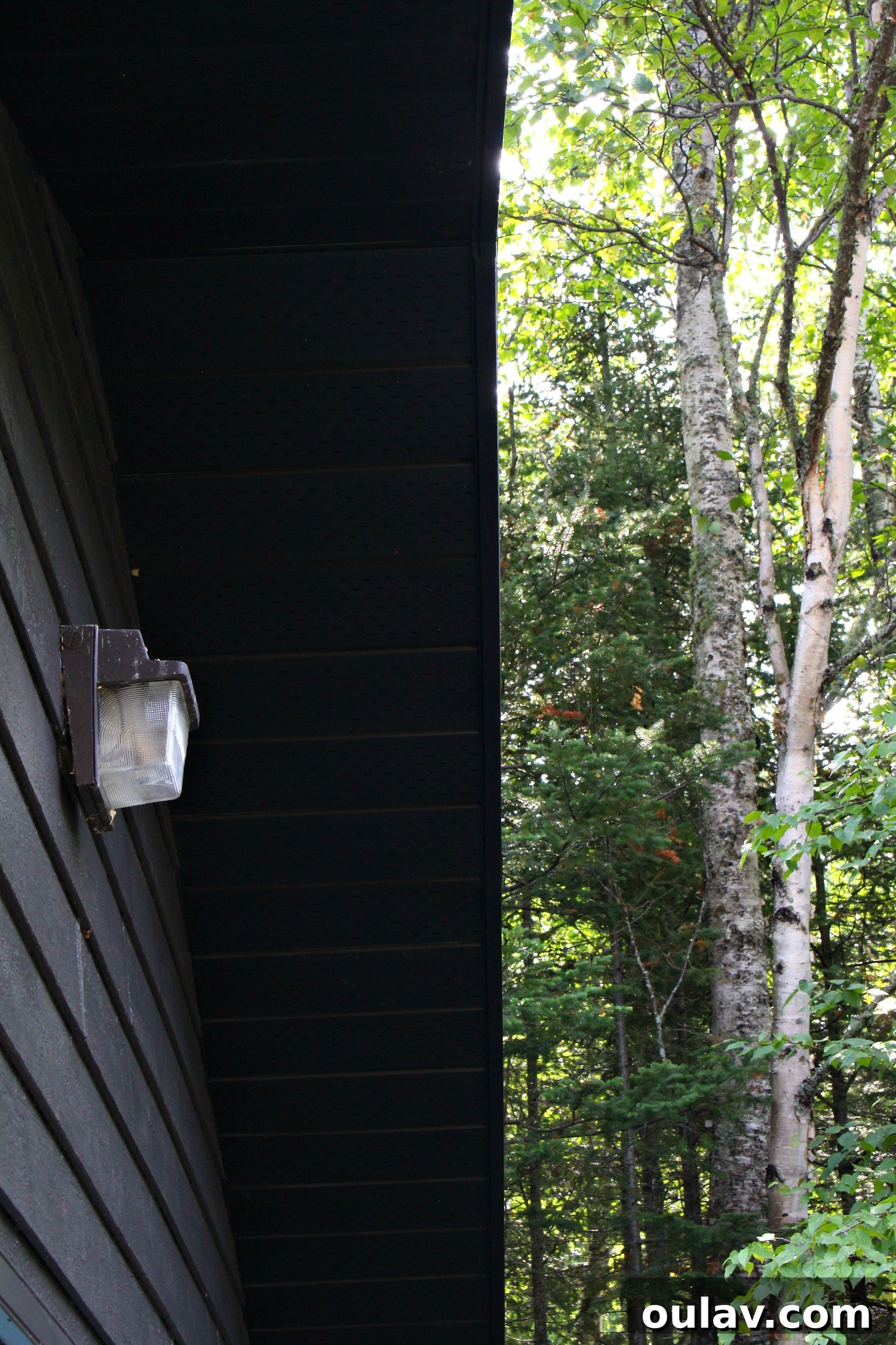 Close-up detail of freshly painted black soffit and fascia on a home, showcasing a clean and modern finish.