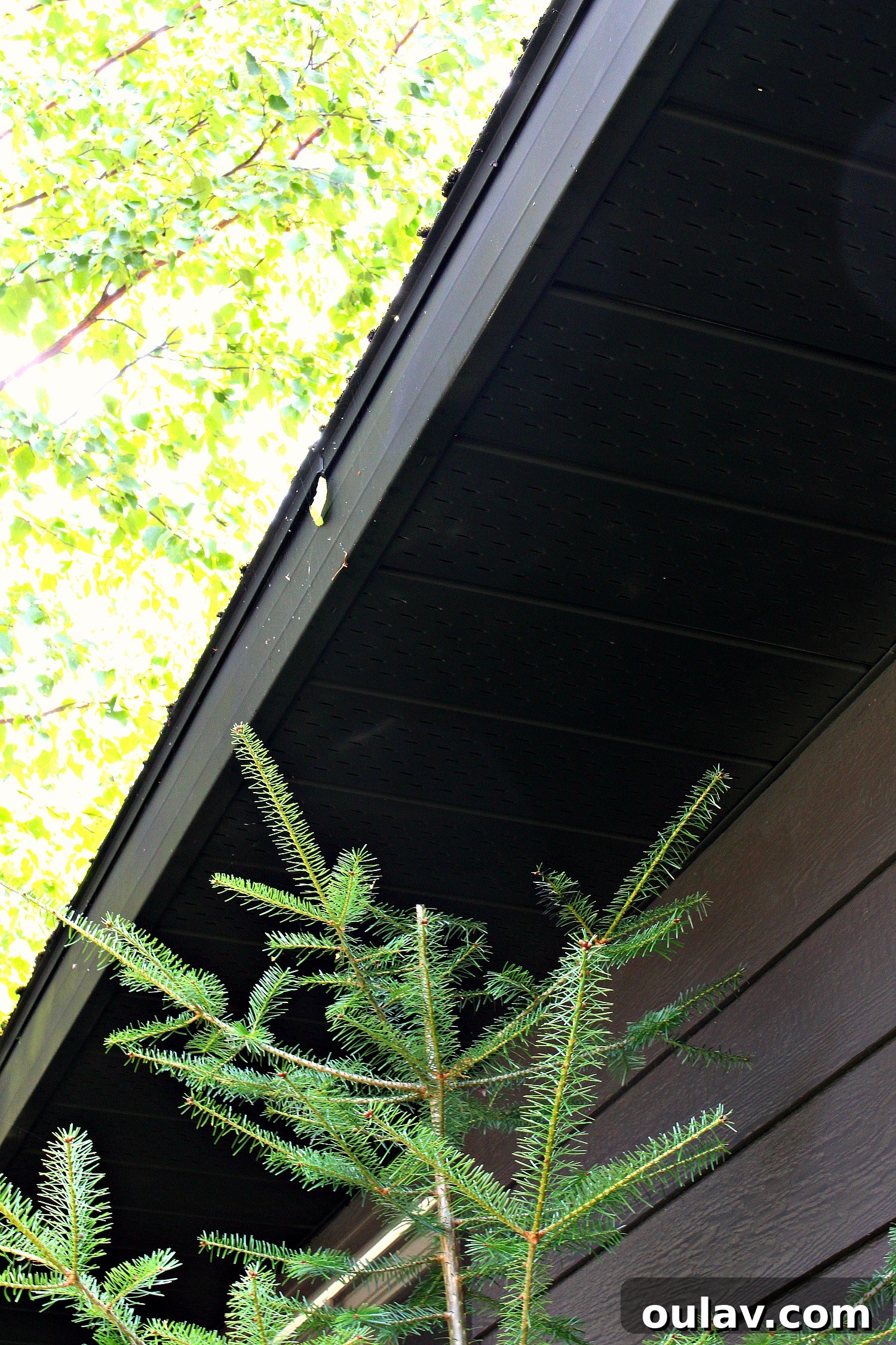 The garage exterior from a different angle, showcasing the newly painted black soffit and fascia against the existing siding.