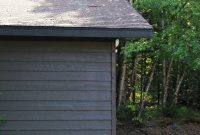 Mastering Garage Siding Paint: Wagner Control Pro 150 Put to the Test