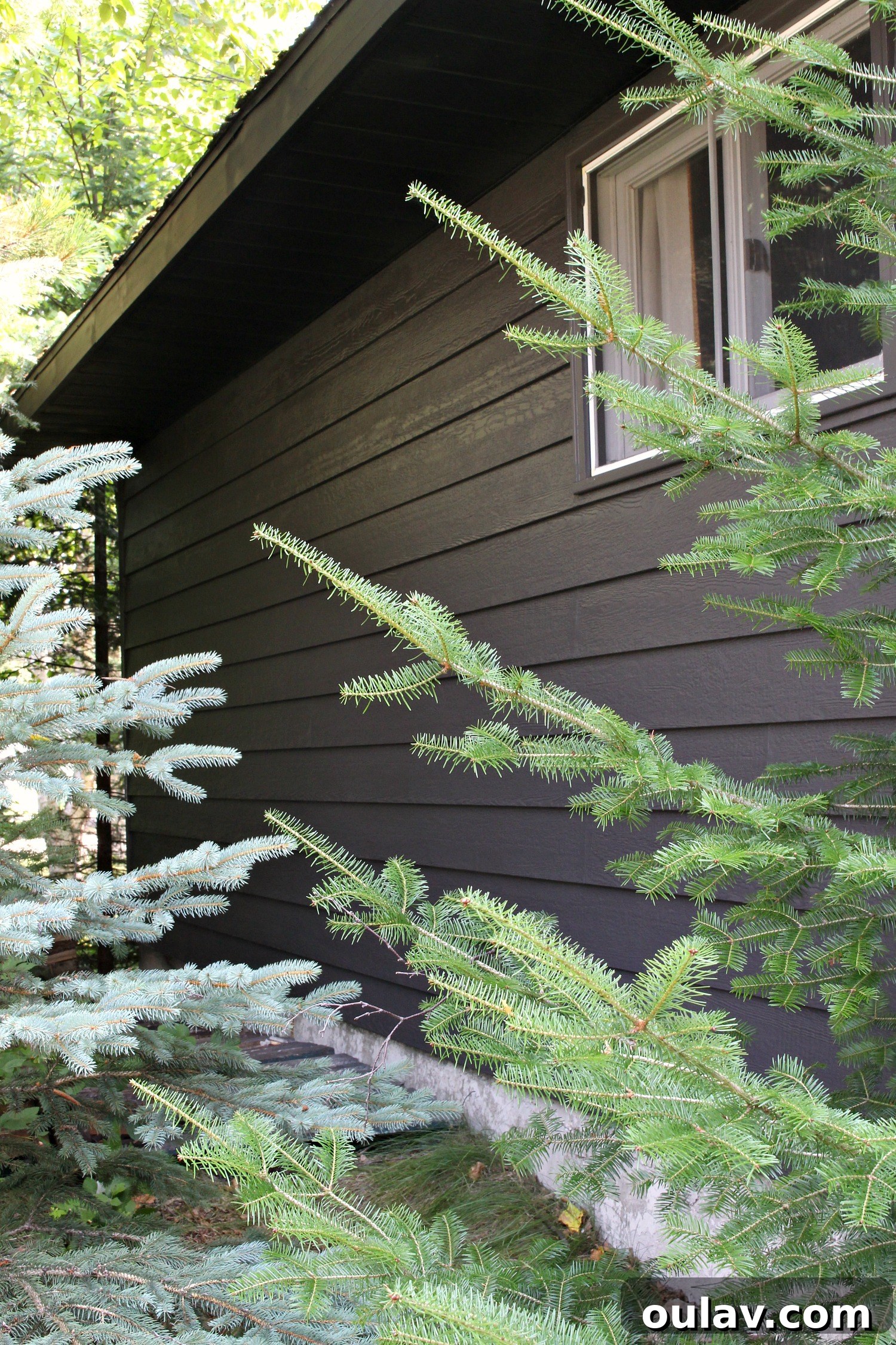 Mastering Garage Siding Paint: Wagner Control Pro 150 Put to the Test 8 Garage Makeover: Painting Siding with a Paint Sprayer (Wagner Control Pro 150 Review)