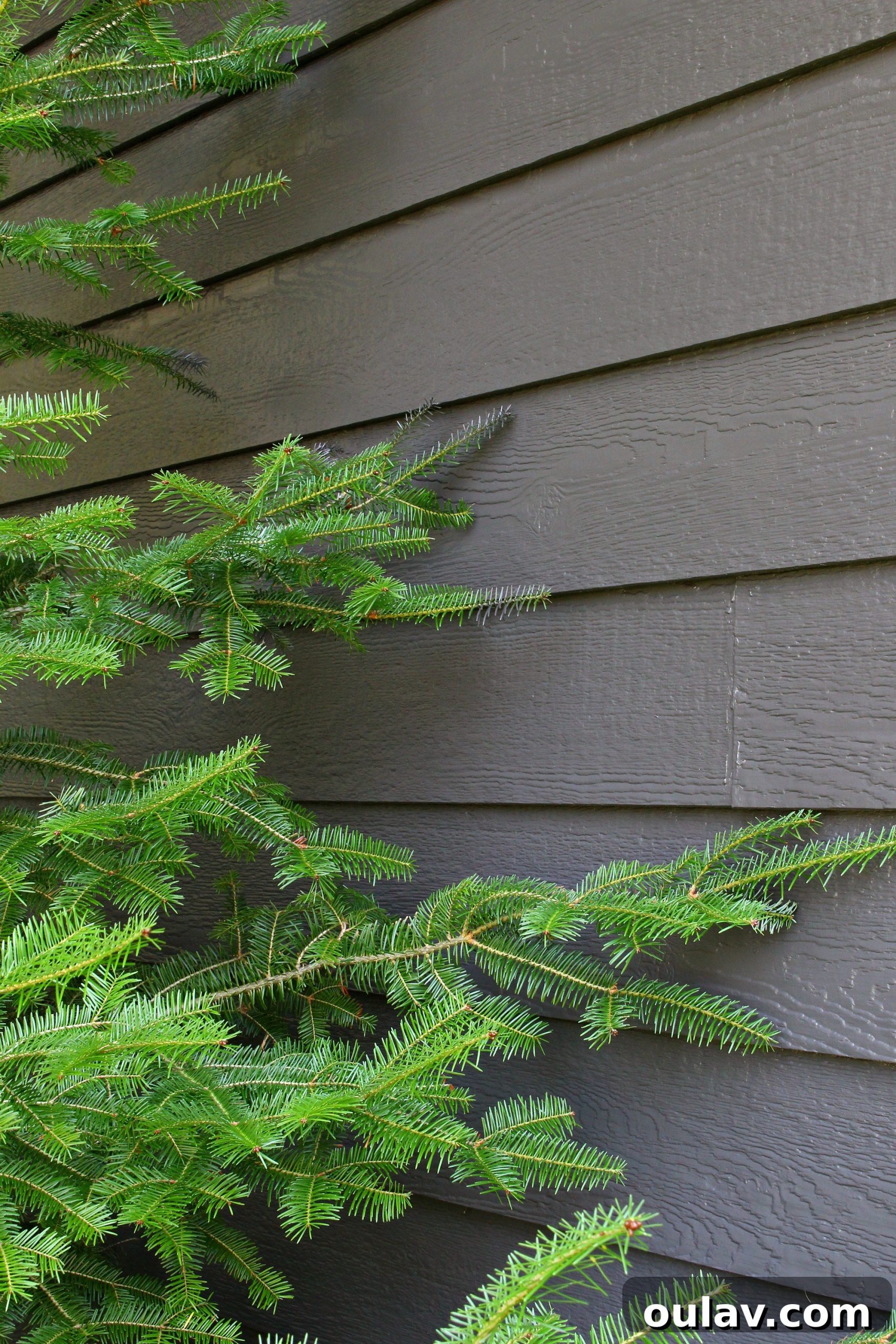 Garage Makeover: Painting Siding with a Paint Sprayer (Wagner Control Pro 150 Review)
