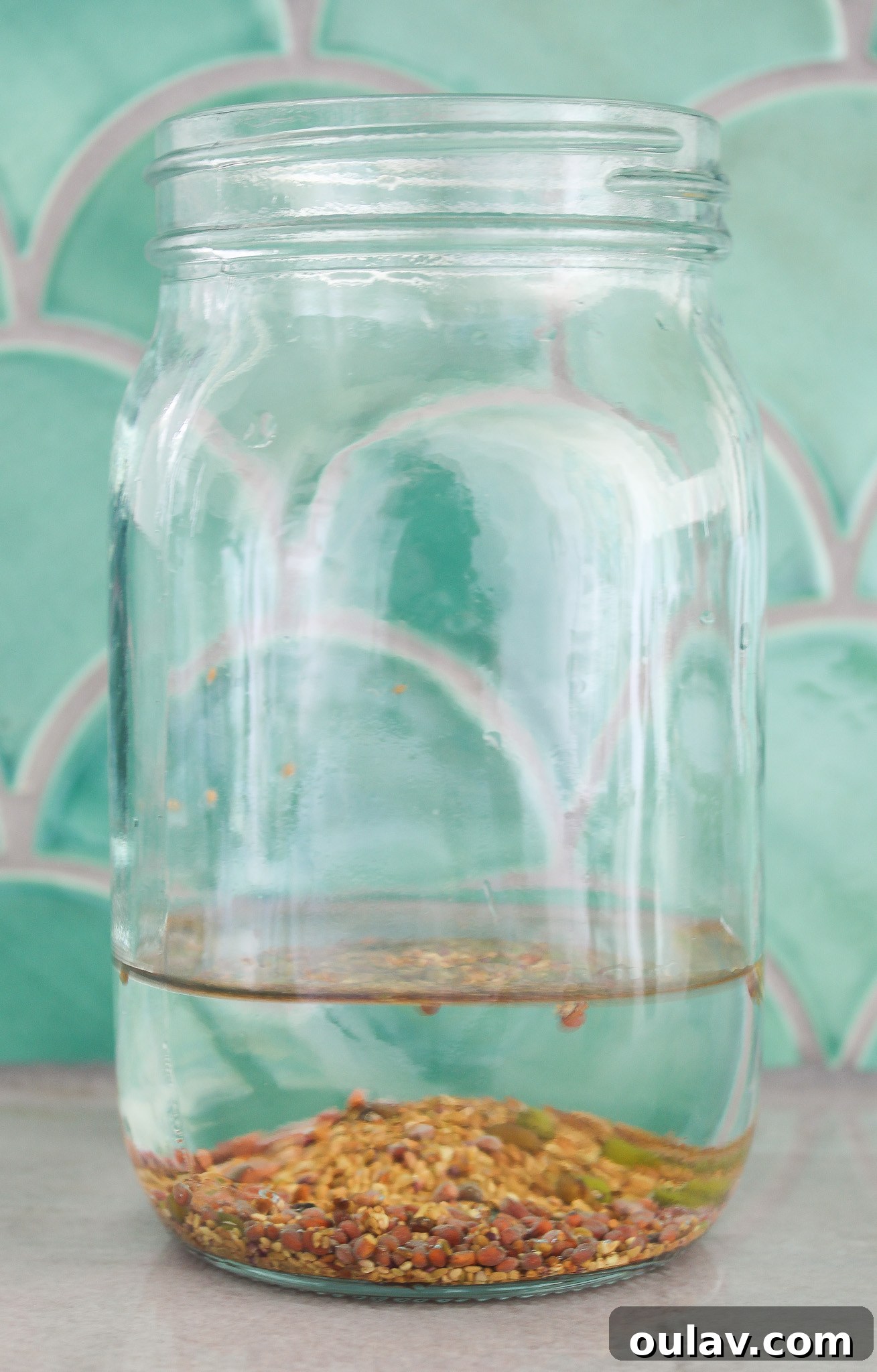 Grow Fresh Sprouts at Home 9 How to Grow Sprouts in a Jar