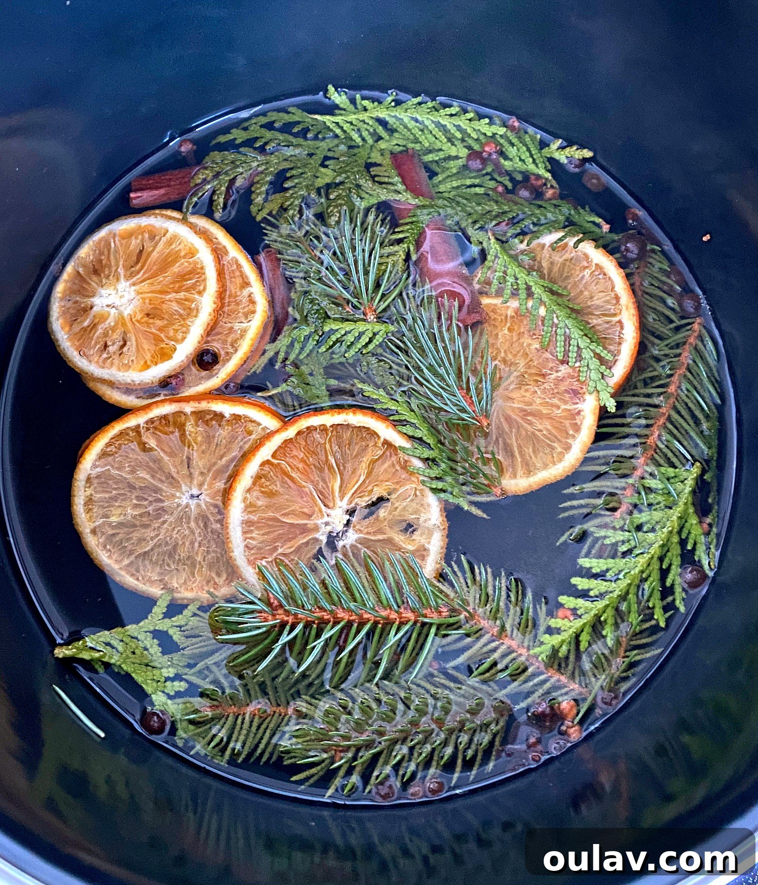 Crafts for the Longest Night 11 DIY Stove Top Simmer Recipe