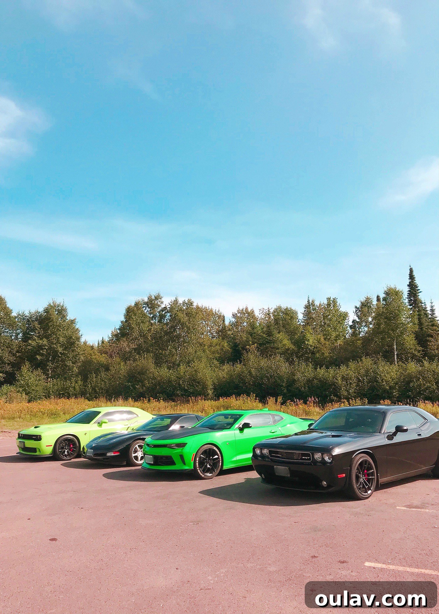 Gearhead's Festive Display Dome 4 A lineup of powerful sports cars including a Hellcat, Corvette, Camaro, and Challenger, ready for a drive.