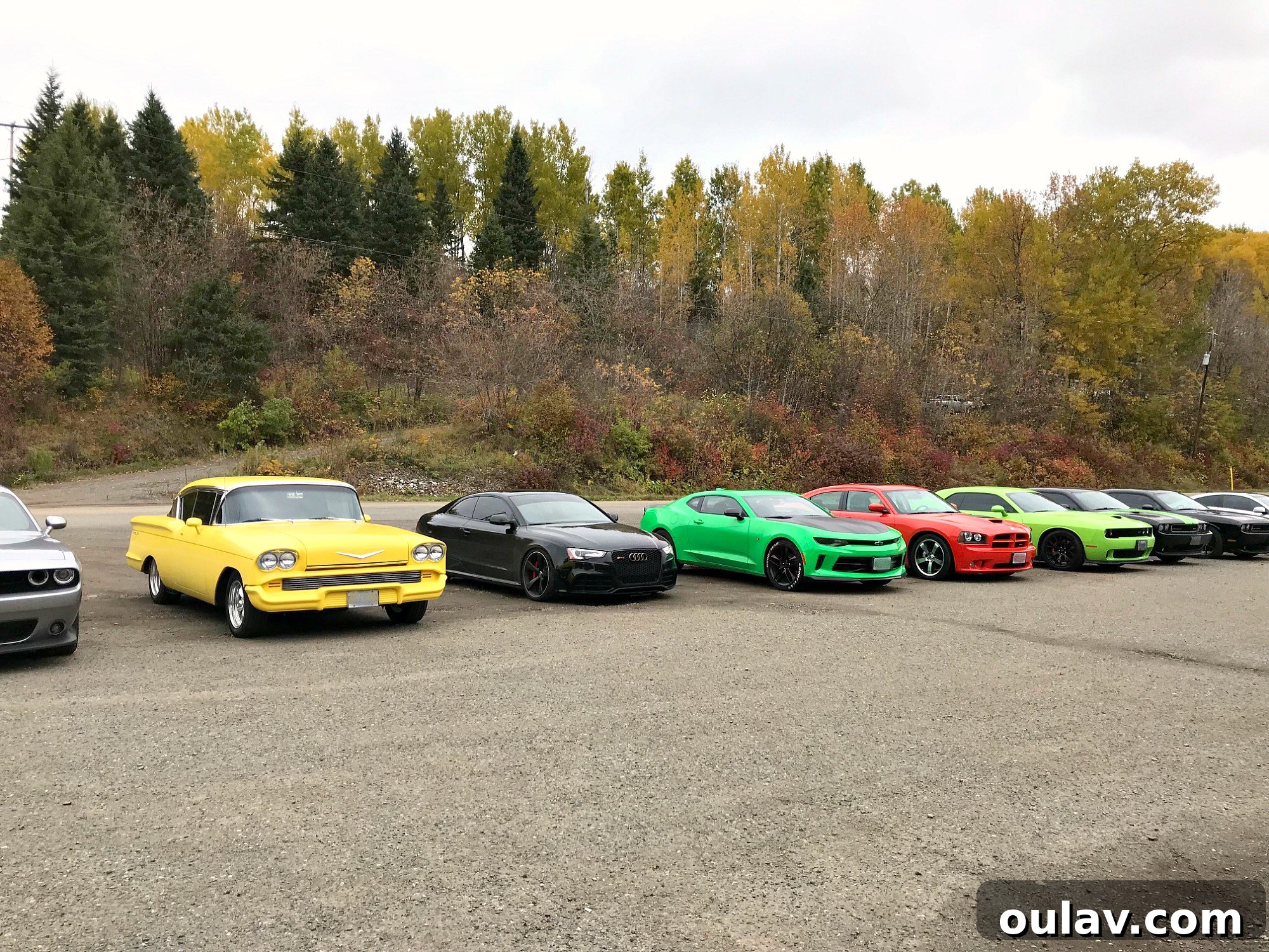 Gearhead's Festive Display Dome 5 Classic muscle cars, a Hellcat and Corvette, parked side by side, showcasing their sleek design.