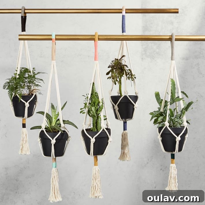 West Elm Colorblocked Rope Hanging Planters