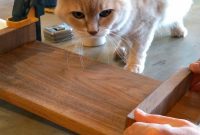 Craft a Custom Wooden Riser Step-by-Step