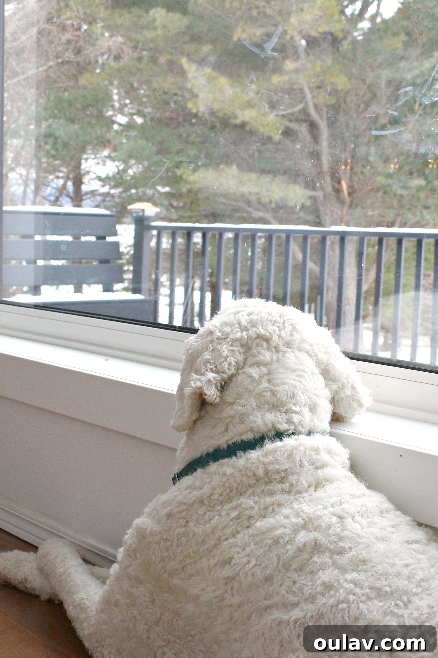 Bigger Window Installation: Your Complete Guide 25 Window Jamb Dilemma: Painted vs. Vinyl for Durability