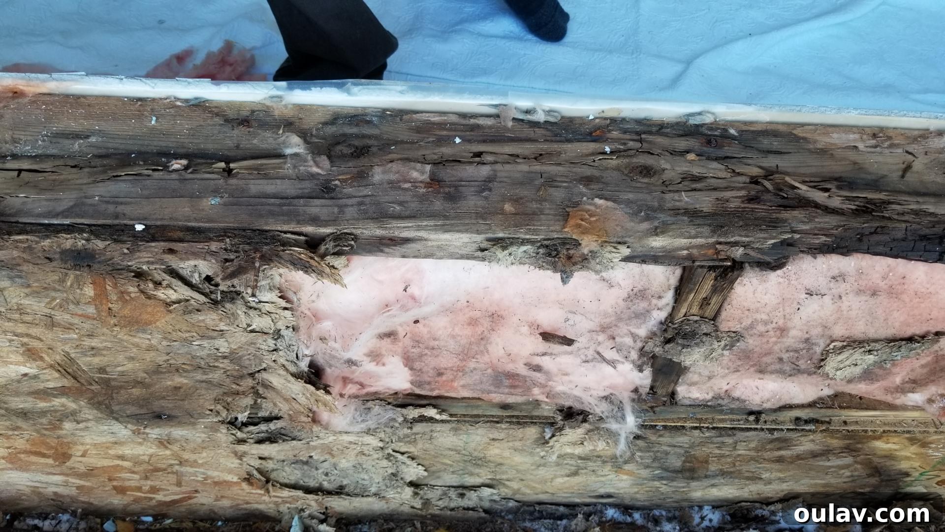 Hidden Damage: Extensive Wood Rot Around Old Window Frames
