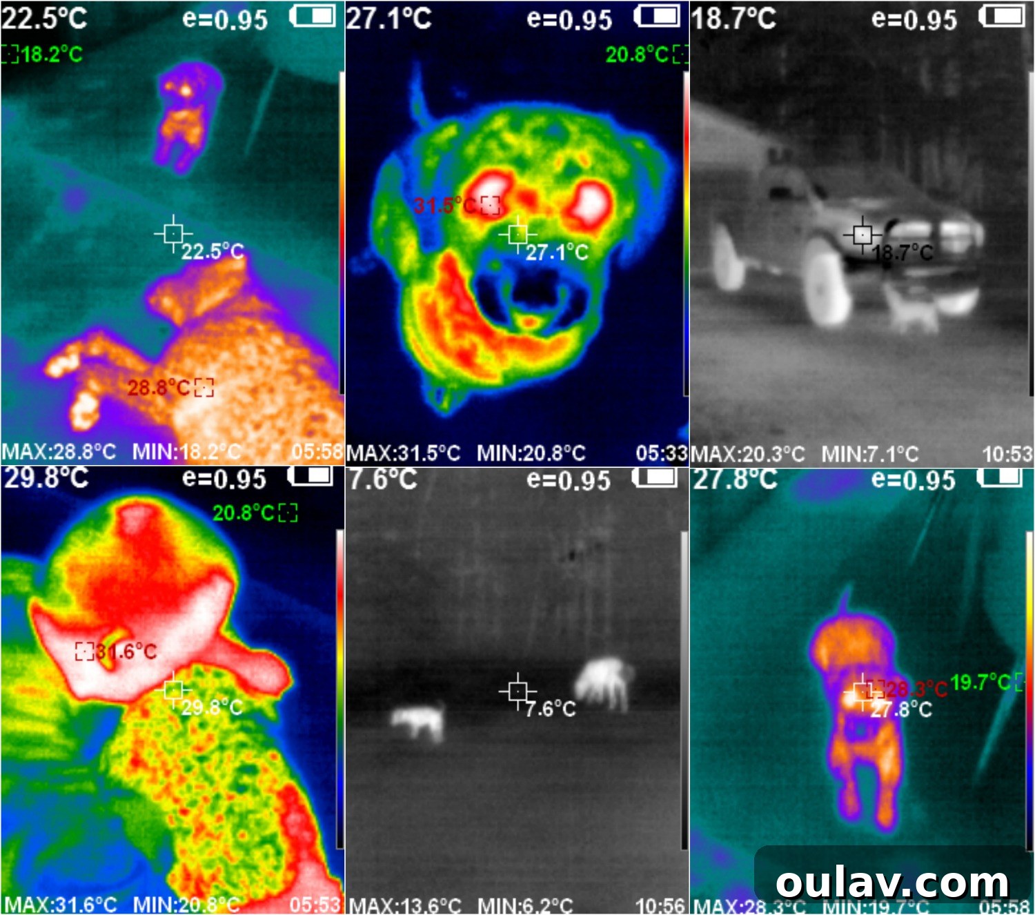 Thermal Vision for a Safer Smarter Home PerfectPrime IR0005 Review 14 Thermal Camera Image 13