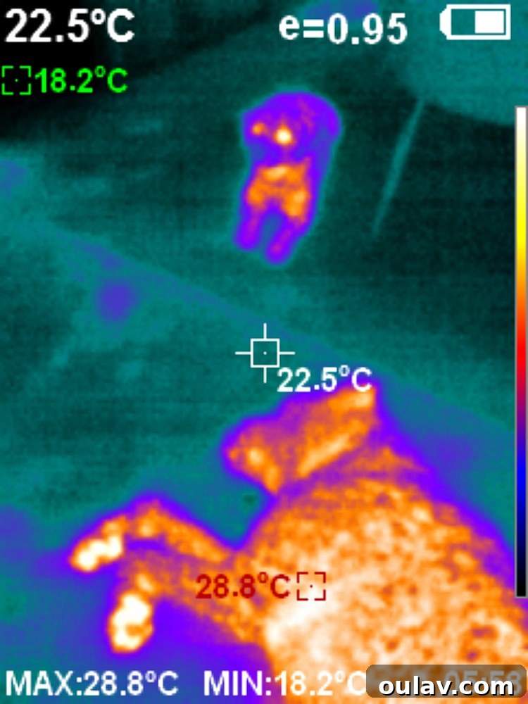 Thermal Vision for a Safer Smarter Home PerfectPrime IR0005 Review 3 Thermal Camera Image 2