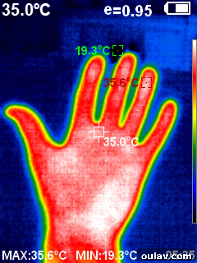 Thermal Vision for a Safer Smarter Home PerfectPrime IR0005 Review 5 Thermal Camera Image 4