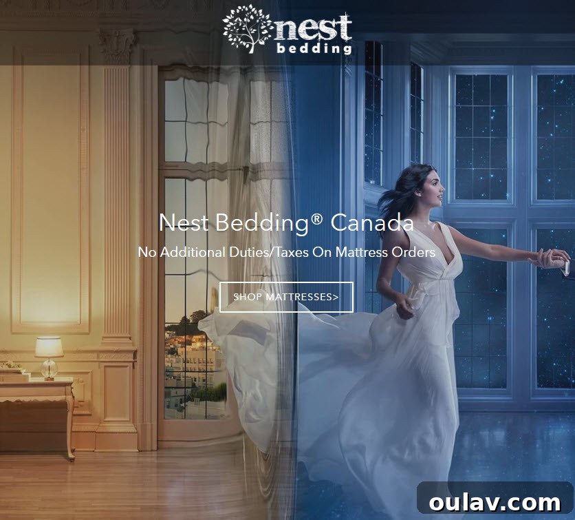 Nest Bedding Alexander Signature Hybrid Mattress: A Full Analysis 13 Nest Bedding Alexander Signature Hybrid Mattress Review