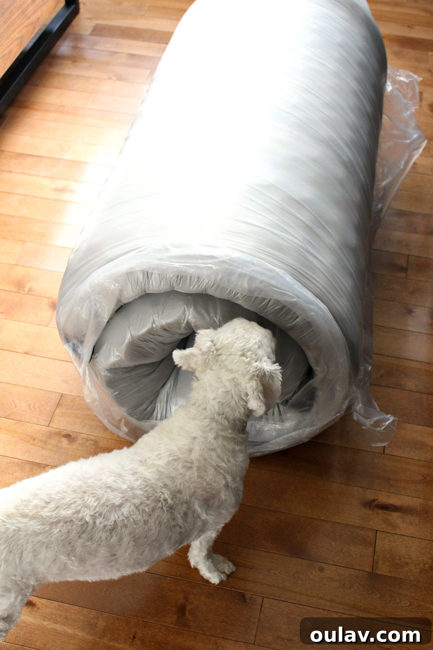 Nest Bedding Alexander Signature Hybrid Mattress: A Full Analysis 3 Nest Bedding Alexander Signature Hybrid Mattress Review