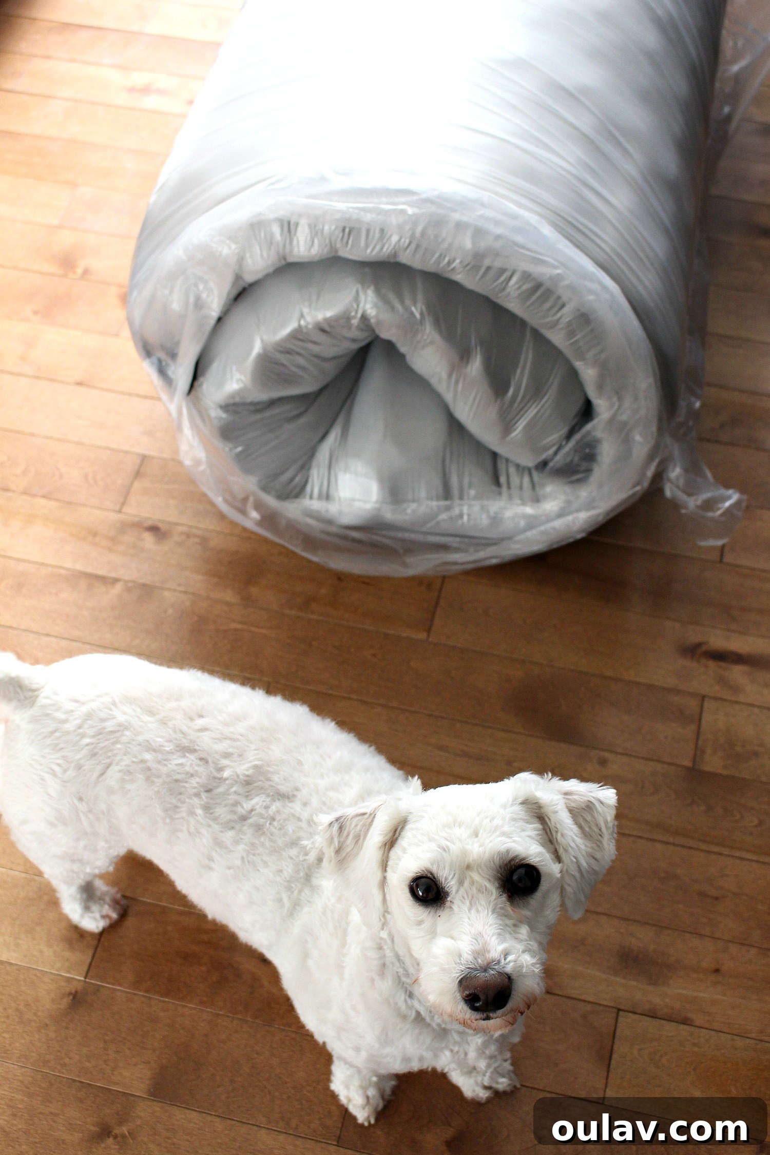 Nest Bedding Alexander Signature Hybrid Mattress: A Full Analysis 4 Nest Bedding Alexander Signature Hybrid Mattress Review