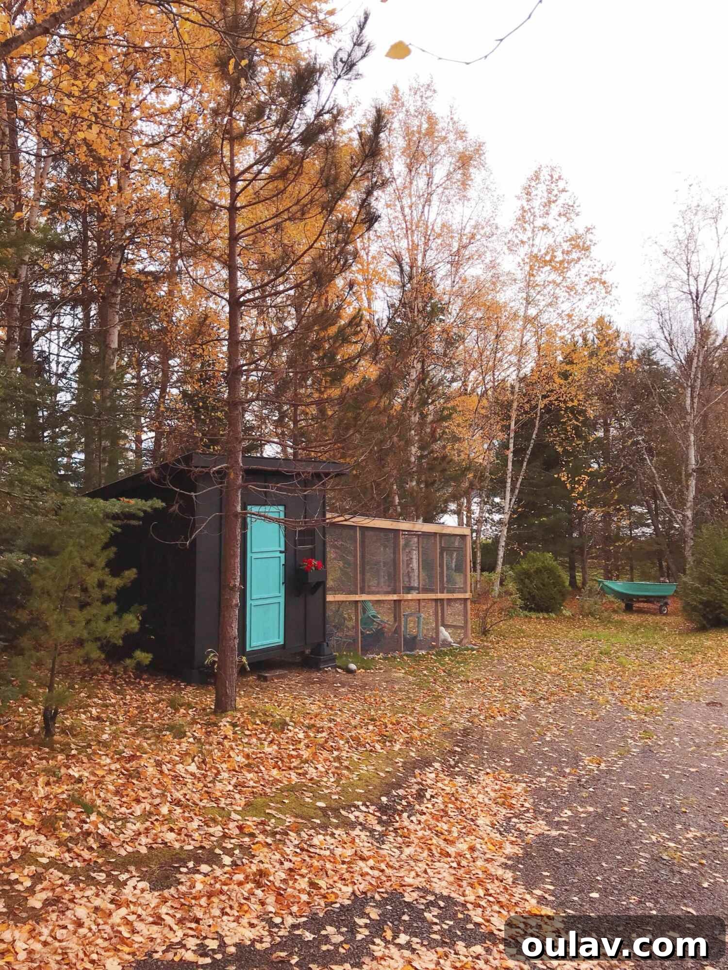 19 Top Picks from Dans le Lakehouse 2019 7 A modern DIY chicken coop with a sleek design and attached run on a sloped landscape