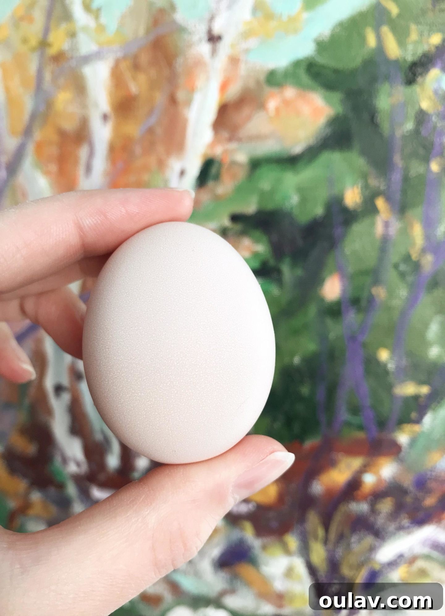 Ayam Cemani egg with a blush pink hue