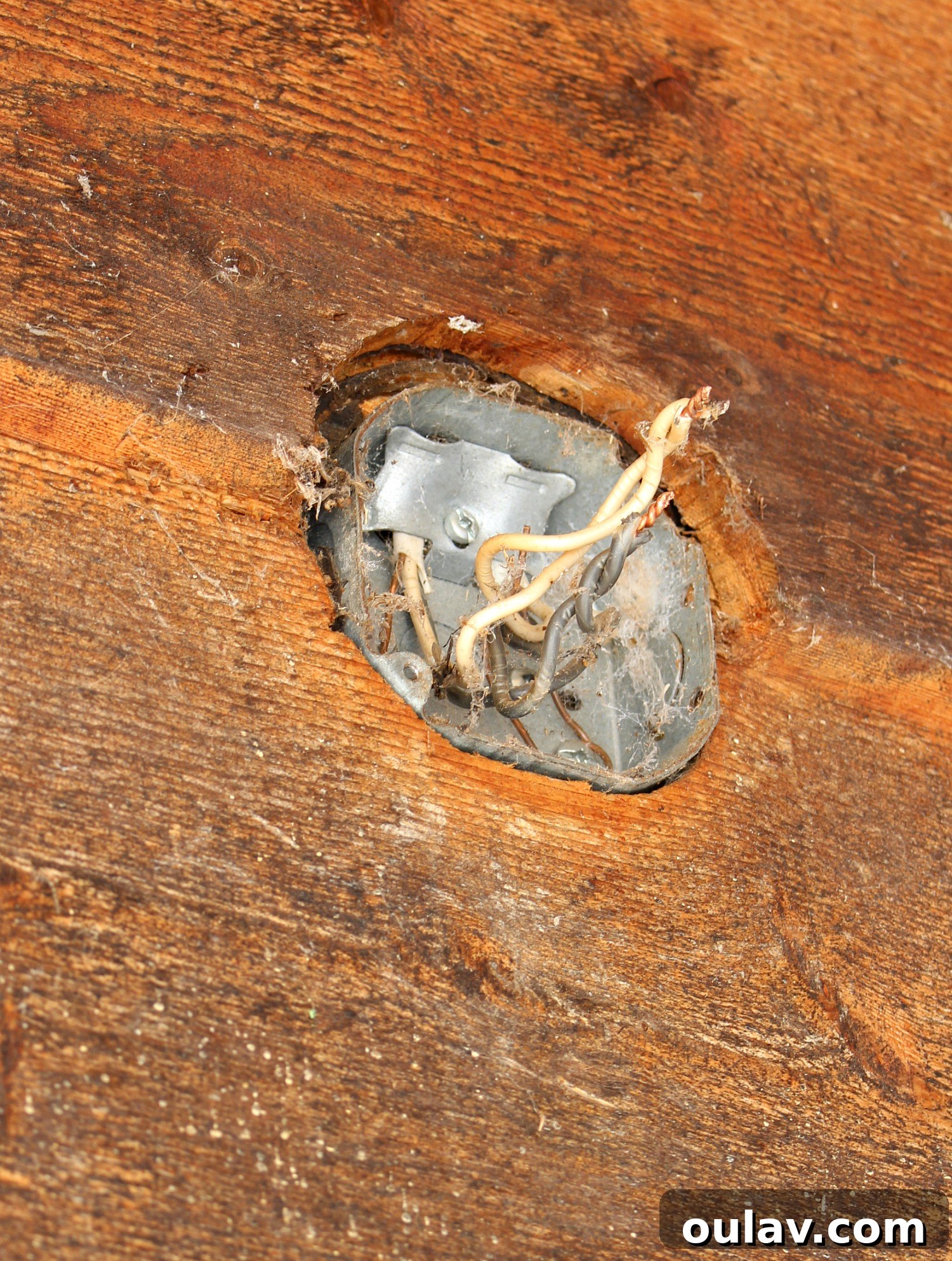 DIY Light Fixture Replacement Made Simple (Sponsored by Leatherman Canada) 12 Disconnected wiring after removing an old light fixture, ready for new installation