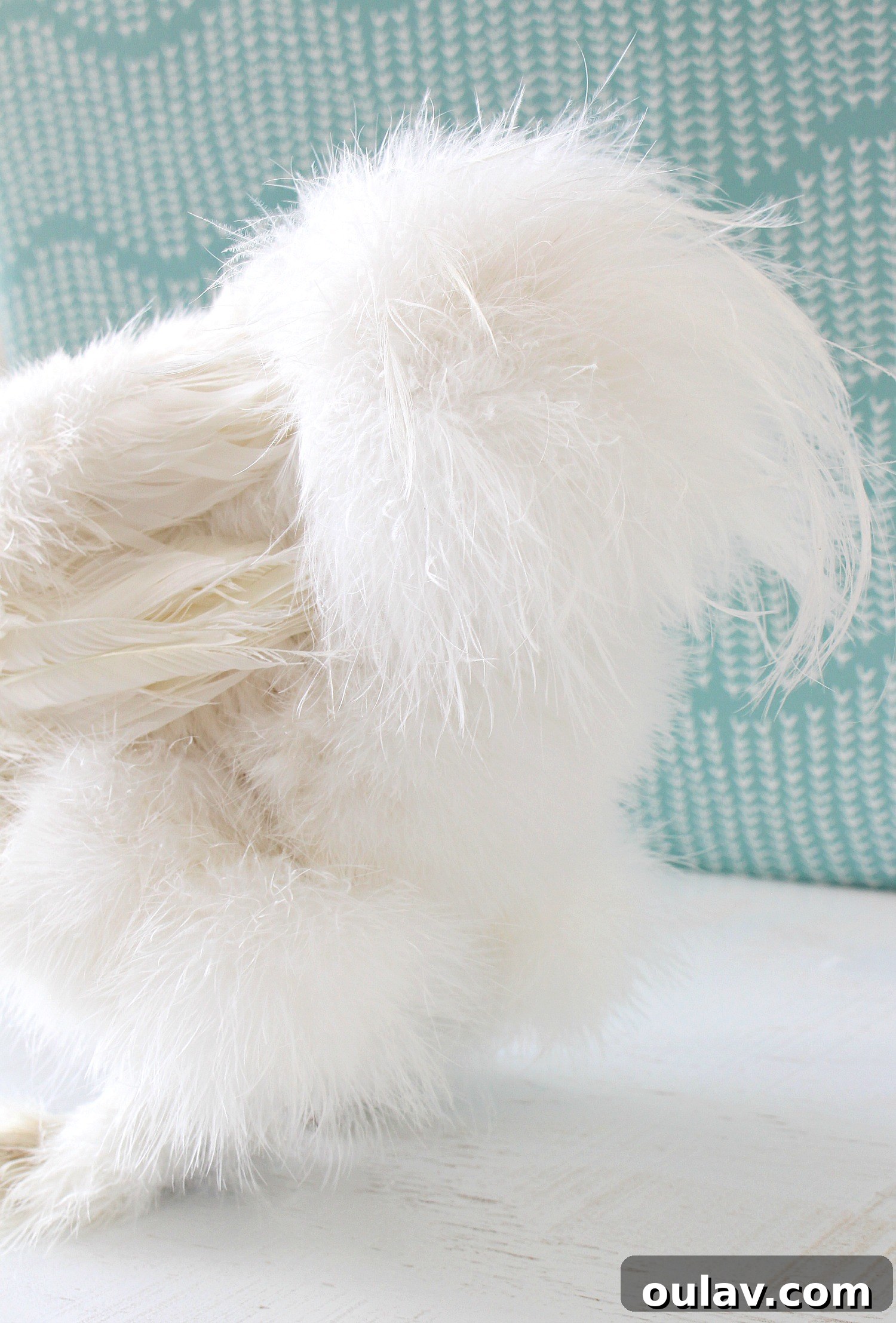 Bathing Chickens Your Essential Guide 13 Fluffy Chicken Bum