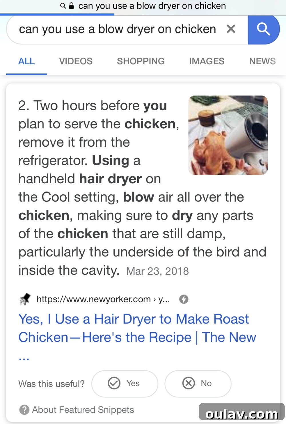 Bathing Chickens Your Essential Guide 4 img 8715 3